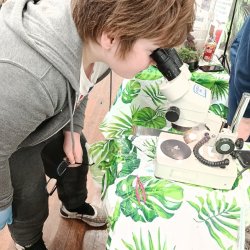 Holmbridge 11-16s zoology home education workshop
