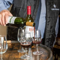 Bottles and glasses of wine on a wooden barrel