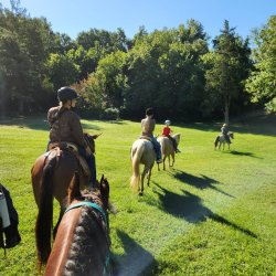 Two-Hour Trail Ride