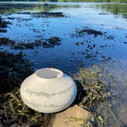 Make a River Pot using Natural Materials from the River Dart