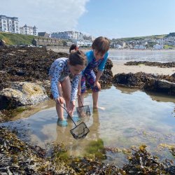 Rockpooling (Wildlife Watch)