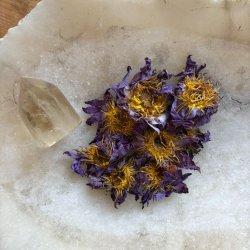 The Equinox Reset