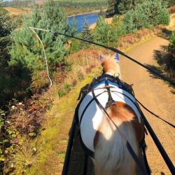 BHS North - Kielder Carriage Drive