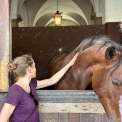 Prestigious Lusitano studfarm visiting