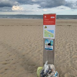Studland Beach Clean