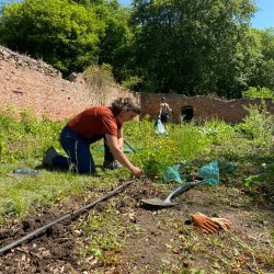 Tree Nursery Volunteer Day