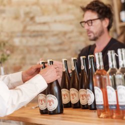 Christmas Wine Tasting