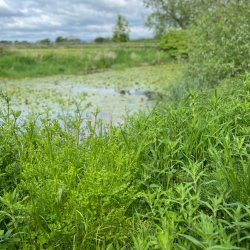 Heritage Open Days - Vanished Farms and Orchards
