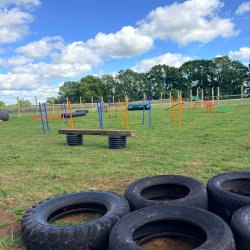 30 Minute Play Field Session