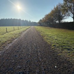 Equestrian gallops rising uphill away from the camera