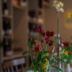 Bathtime & Beyond Smoosh Supper Club