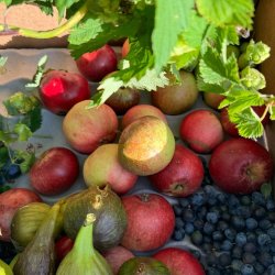 Autumn fermented Chutney workshop (working with everything the season offers from wild to cultivated)