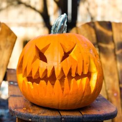 Spooky Halloween Games at GDA - Dalmatians