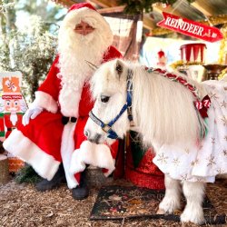 Christmas with the Unicorns