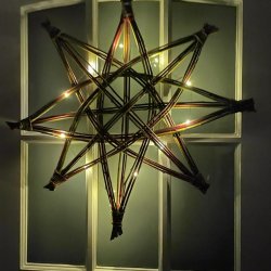 Willow star
