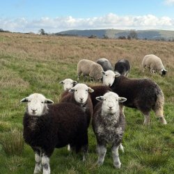Visit to Bernard's Farm