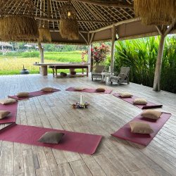 Immersion, June, Ubud, Bali