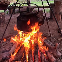 Tree Folk Weekend at Moor Barton Wilding