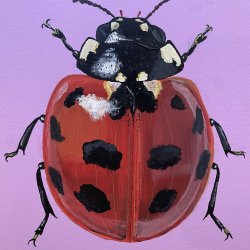 Acrylic Bug Paintings with Rachel Cabral