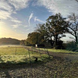 AutumnEnergies; The gentle autumn sun on the field and cabin