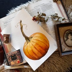 Class | Watercolor Pumpkin with Artist Kristine Toward