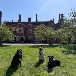 Hodsock Priory Pooch & Family Day