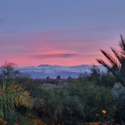 Reset & Renew - New Year Yoga Retreat in Morocco