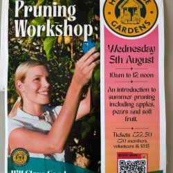 Summer Fruit Pruning Workshop