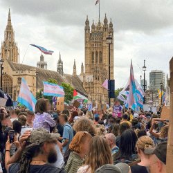 trans+ pride 2025, a sea of people gathered outside parliament, waving trans flags.