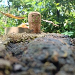 Summer Holiday Forest Camp