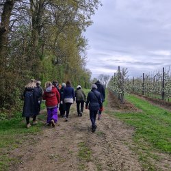 Wild Grounds - Silent Orchard  Walk • Forest Bathing • Apple Harvest Celebration