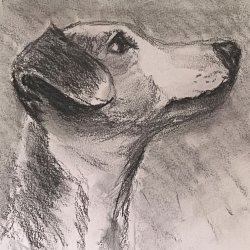 Charcoal Animal Art with James Banks - NXT GEN