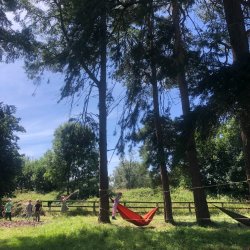 Forest School: Skills, Nature & Adventure - Gaelscoil, Chill Dara  C-PGFS-GN-26