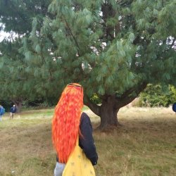 Tree Detectives Walk: Discovering Kirkcaldy’s Urban Trees