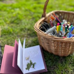 The Wild Pages - Journal Circle Outdoors