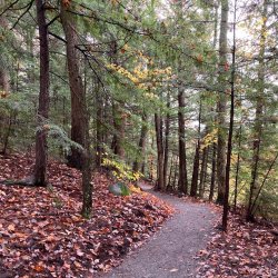 Nature is for Everyone – Guided Accessible Hike at H.N. Crossley Nature Reserve