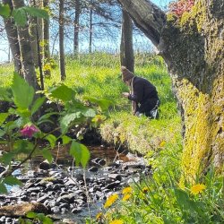 Nature Connection Community Gathering - Falkland Estate