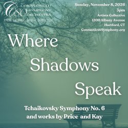 CSO: Where Shadows Speak