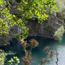 Late Summer Elemental Wellbeing Day Retreat at Trigonos