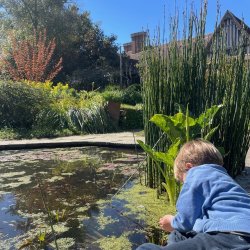 Garden Explorers