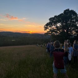 Guided Walk: Bats and Evening Sounds
