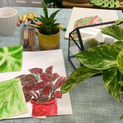Plant Drawing & Social