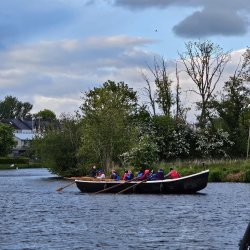 Rowers out on a Sunny Day on the Lake