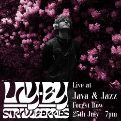 Lay - By Strawberries