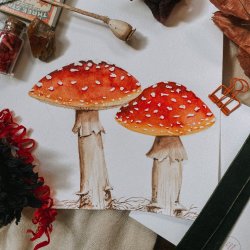 Class | Watercolor Mushrooms with Artist Kristine Toward