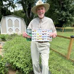 Walking with Butterflies