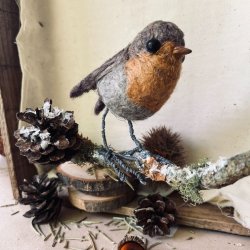 Robin Redbreast