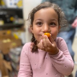 Tiny Farmers: Starting Seeds