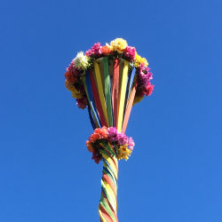 Maypole Teaching Development Day