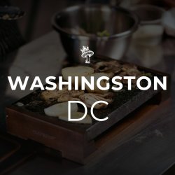 A Night in Shroomtopia - Washington, DC